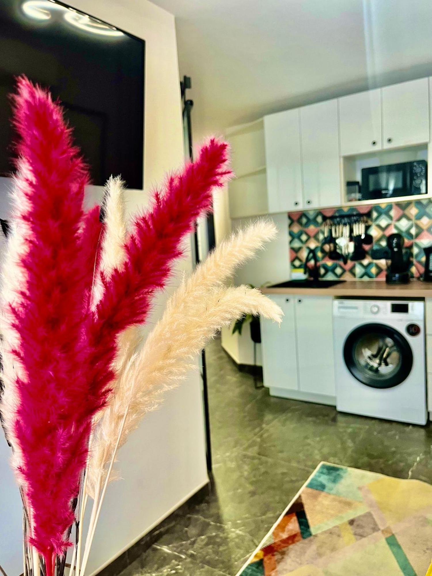 Arte Apartamento Dos Colores อาลิกันเต ภายนอก รูปภาพ